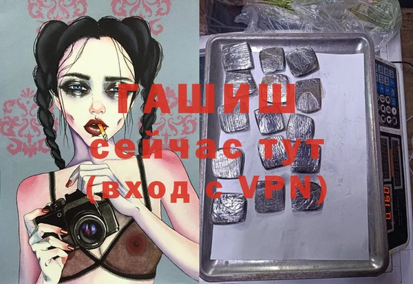 прущие грибы Баксан