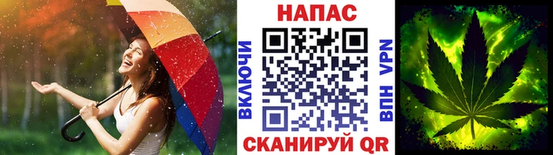 Бошки Шишки конопля  hydra ССЫЛКА  Свободный 